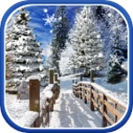 winter landscapes wallpaper android application logo